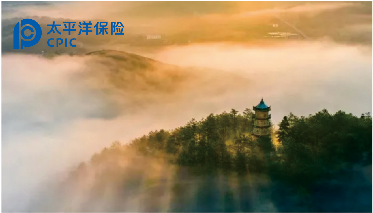 驾意险分析：是否值得购买？